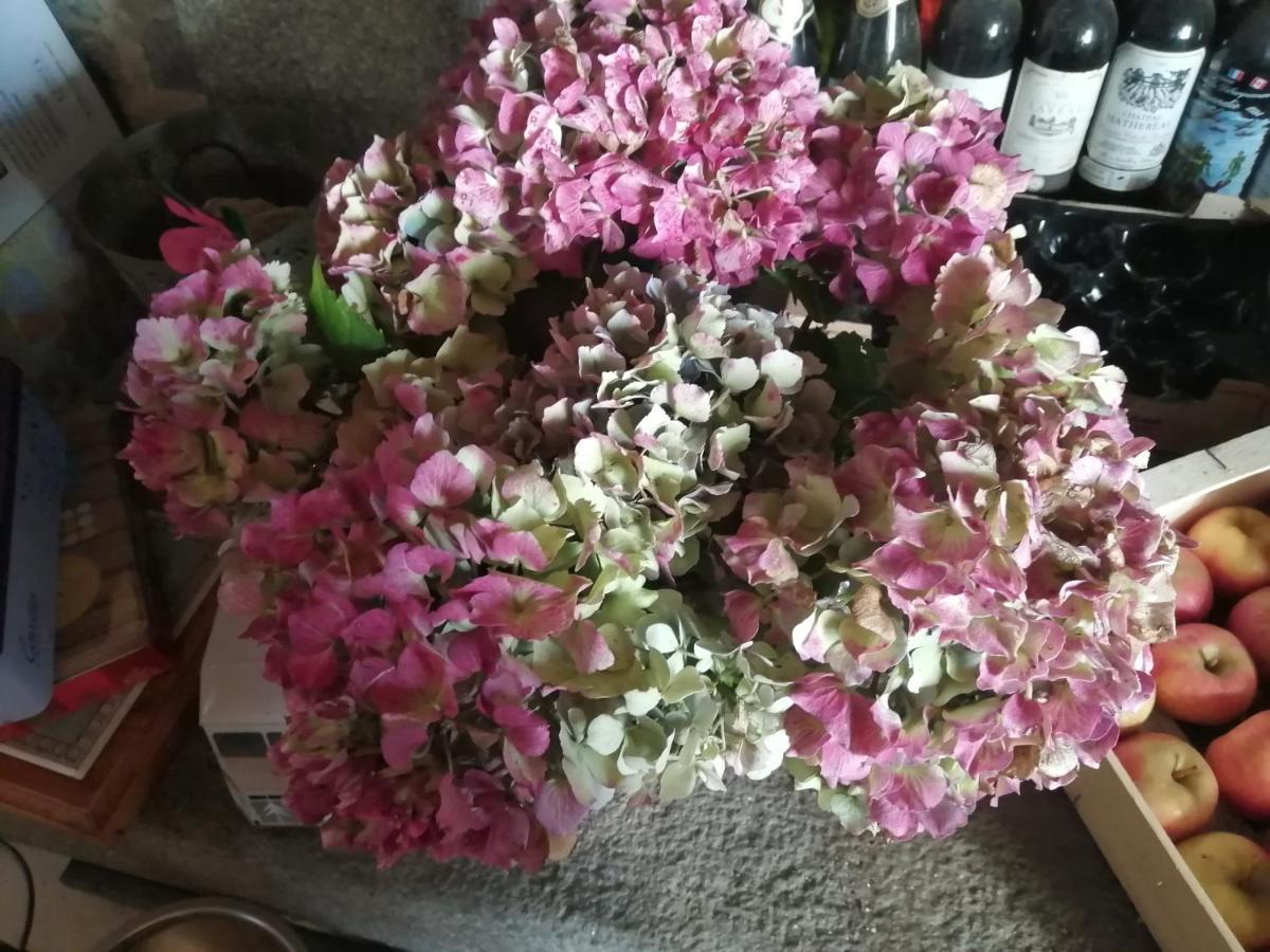 Gite Hydrangea Lanhelin 外观 照片